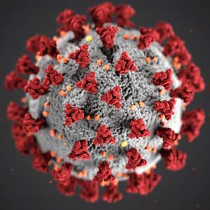 Virus Picture for Infection Control Online Training Course