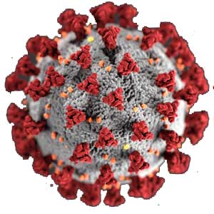 Virus Picture for Infection Control Online Training Course